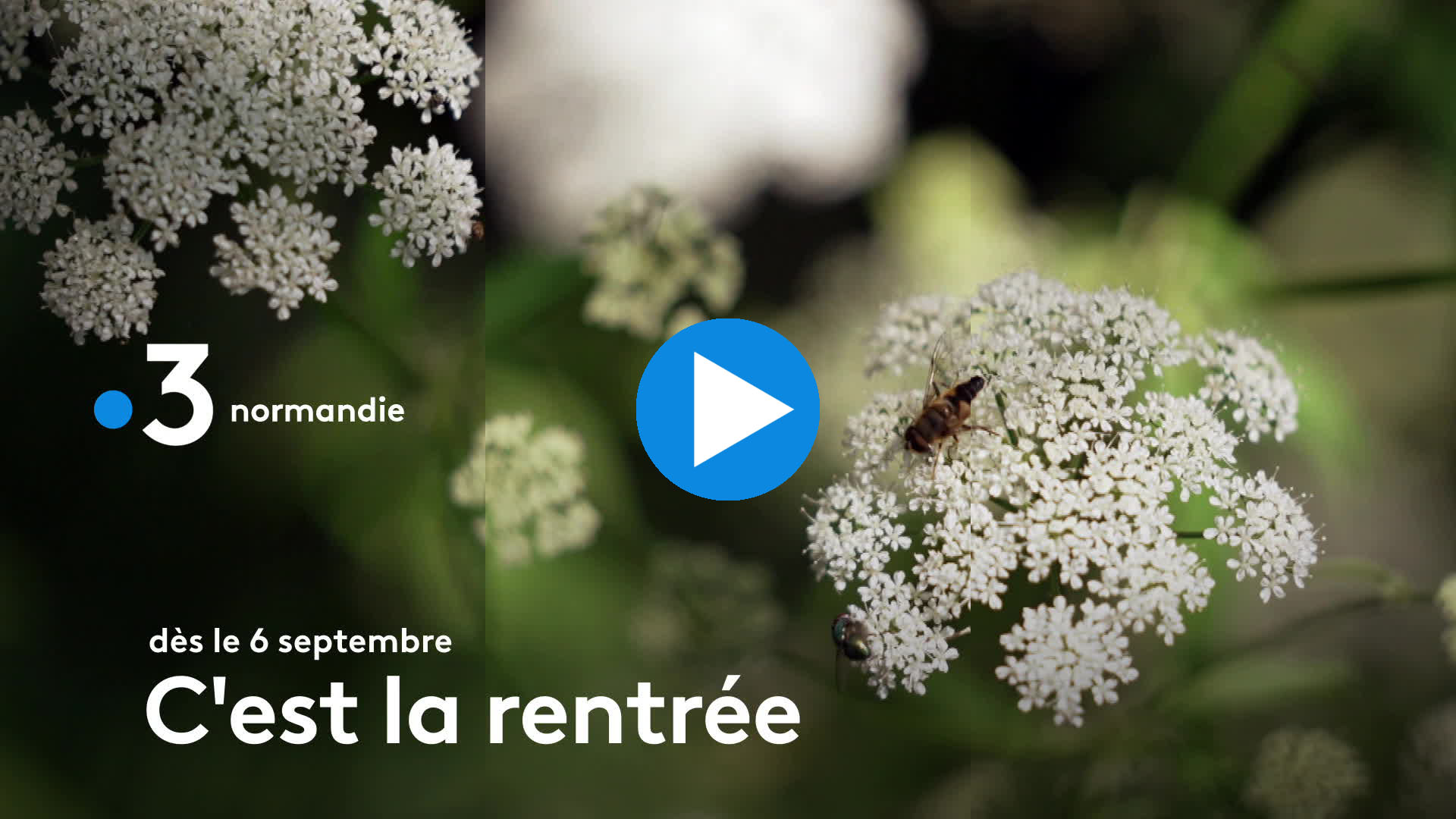 BA Normandie rentrée 2021
