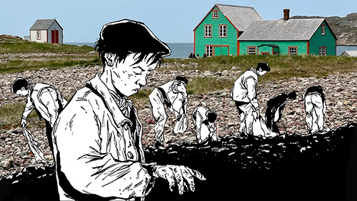 Les petits graviers de Saint Pierre