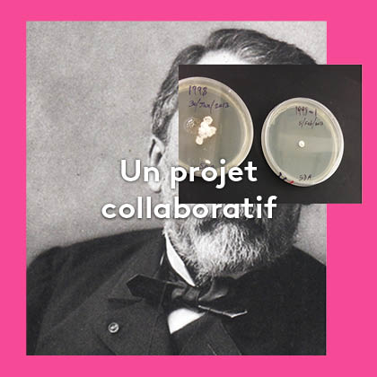 Projet collaboratif Lumni