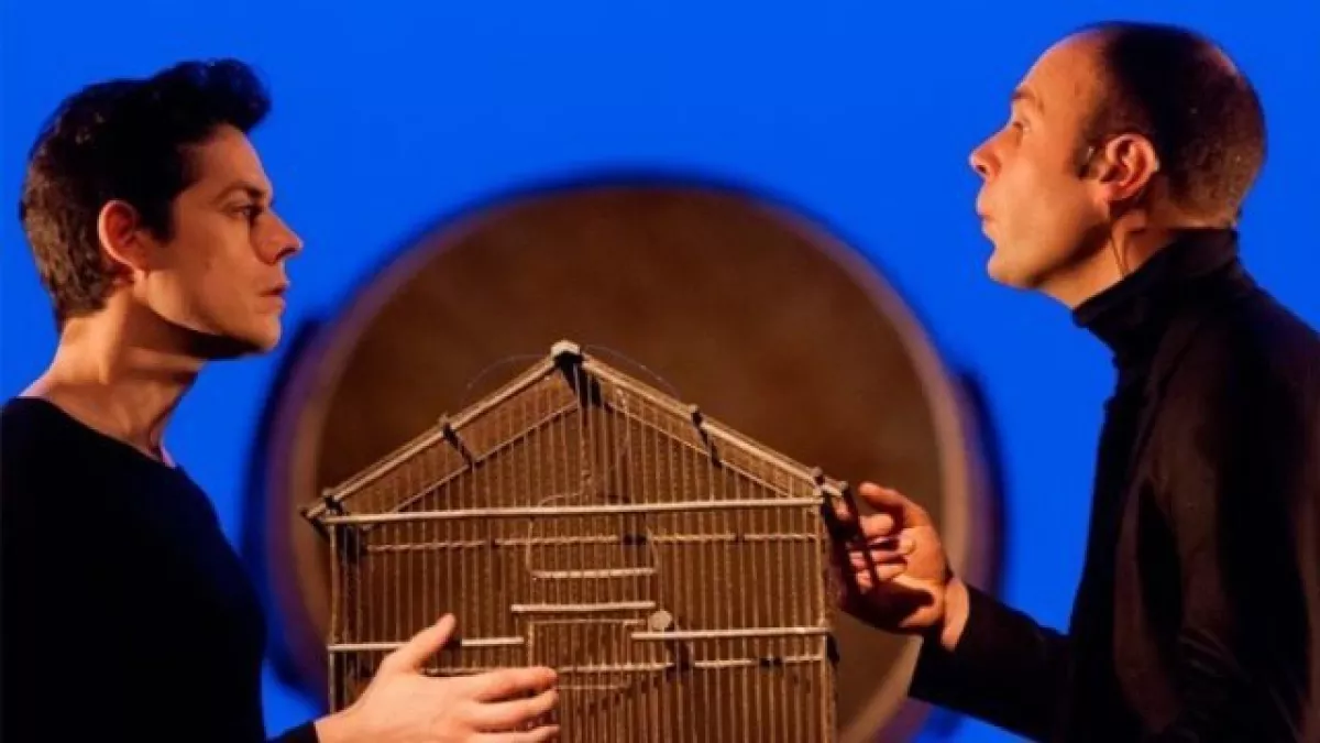 Chanteurs d'oiseaux