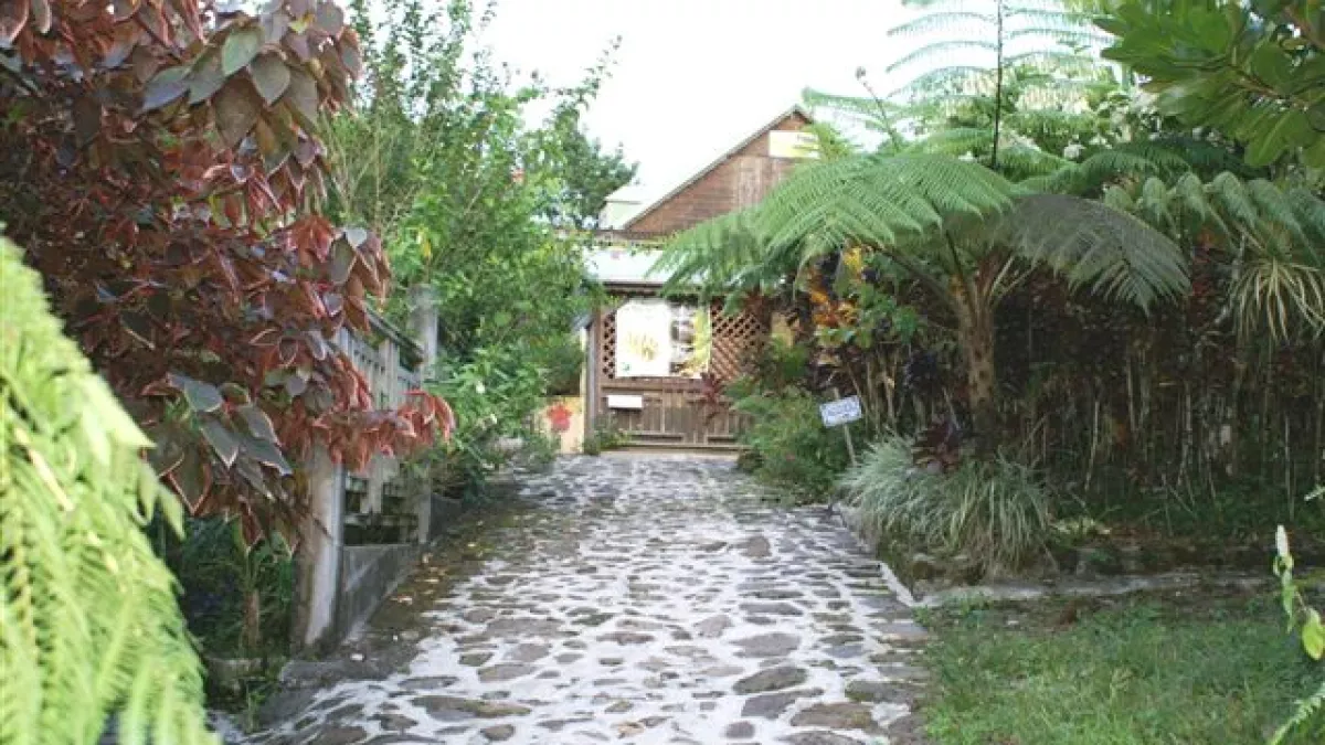 ARTLOOK LA MAISON DE LA BANANE