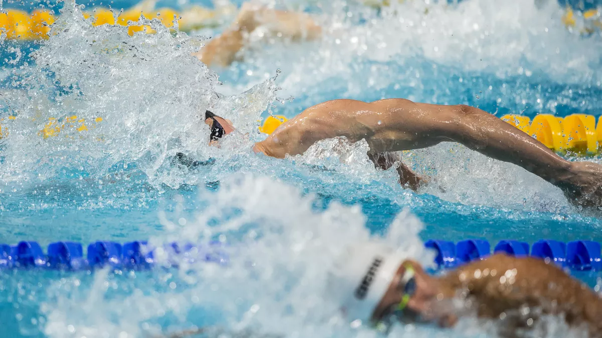 Sipa / Simone Castrovillar Championnats du monde de natation à Kazan en 2015