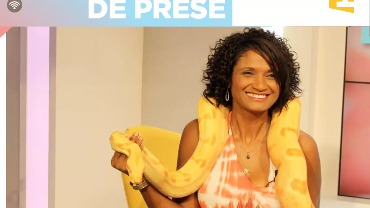 DIS MOI TOUT LE RENDEZ-VOUS DES RÉUNIONNAIS AVEC ROCAYA SUR REUNION1ERE