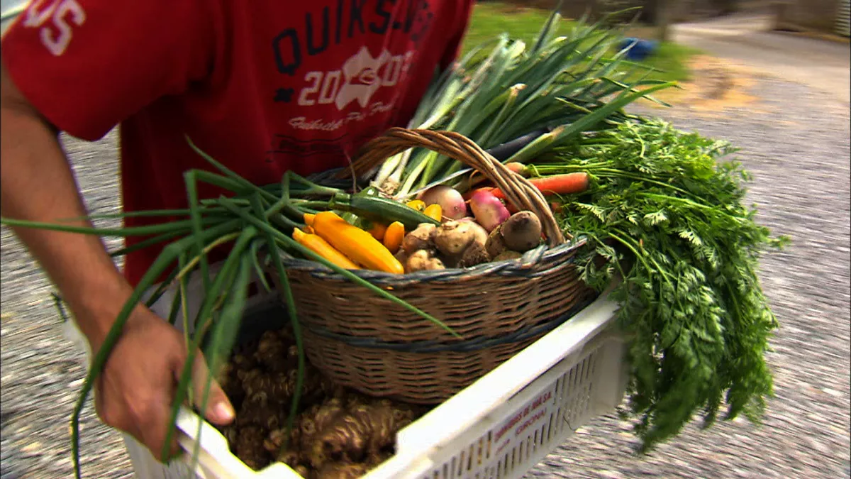 un marché bio
