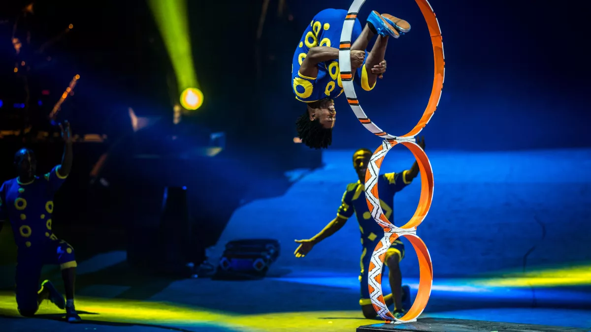 © Lapin Blanc / Cirque Phenix CIRKAFRICA 2