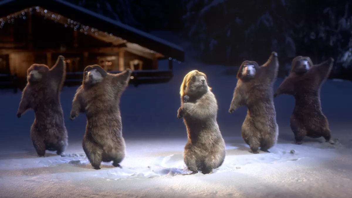 Les Marmottes variétés 