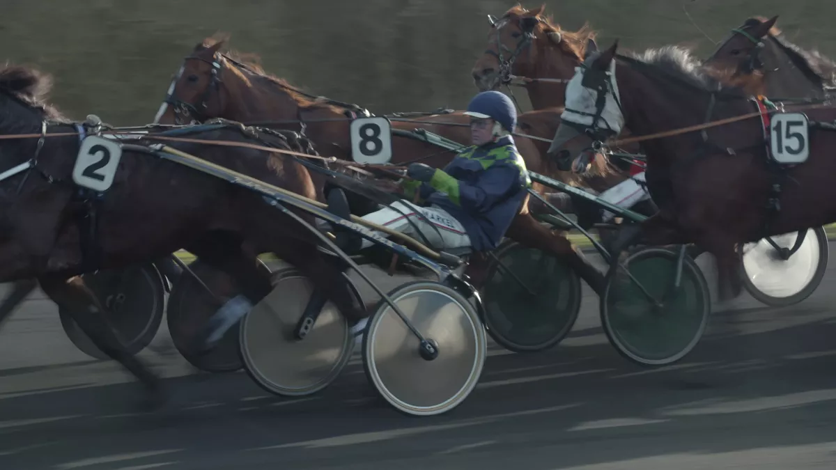 Course à Vincennes Course à Vincennes