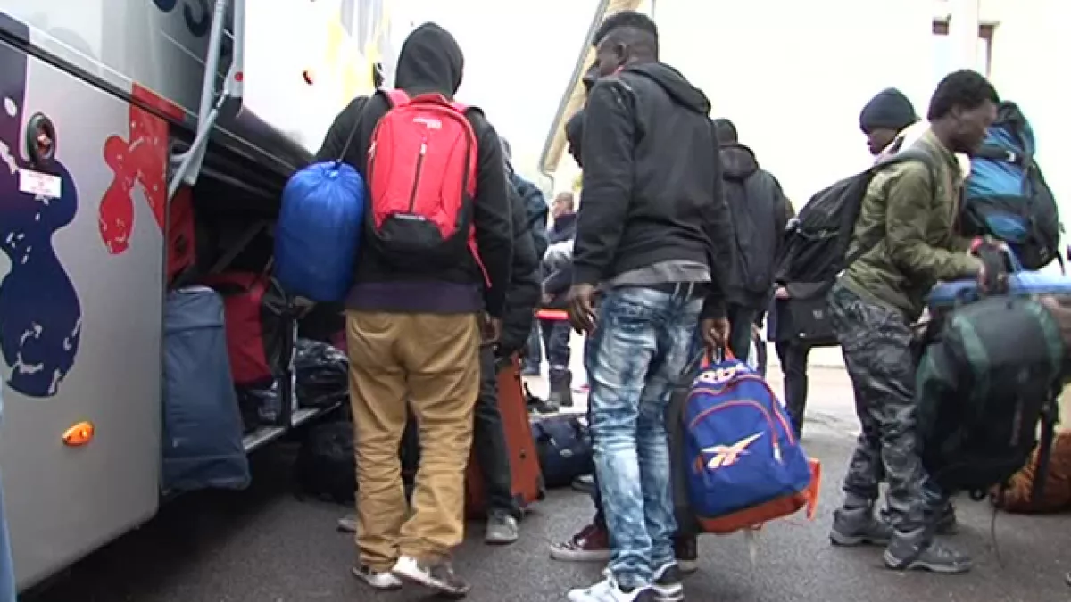 Migrants
