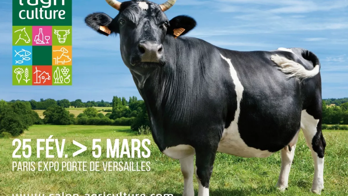 Affiche SIA 2017 Affiche SIA 2017
