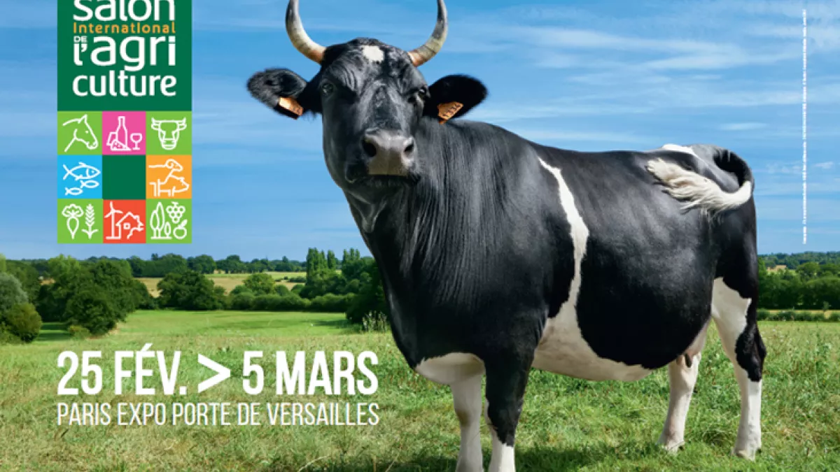 Affiche Sia 2017