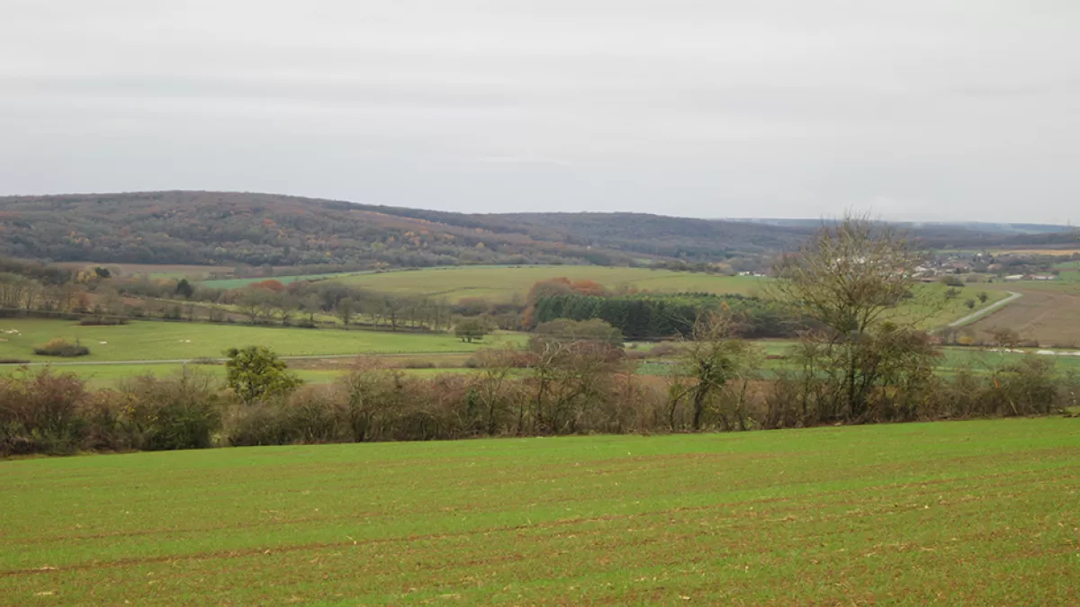 Haute-Saône Haute-Saône