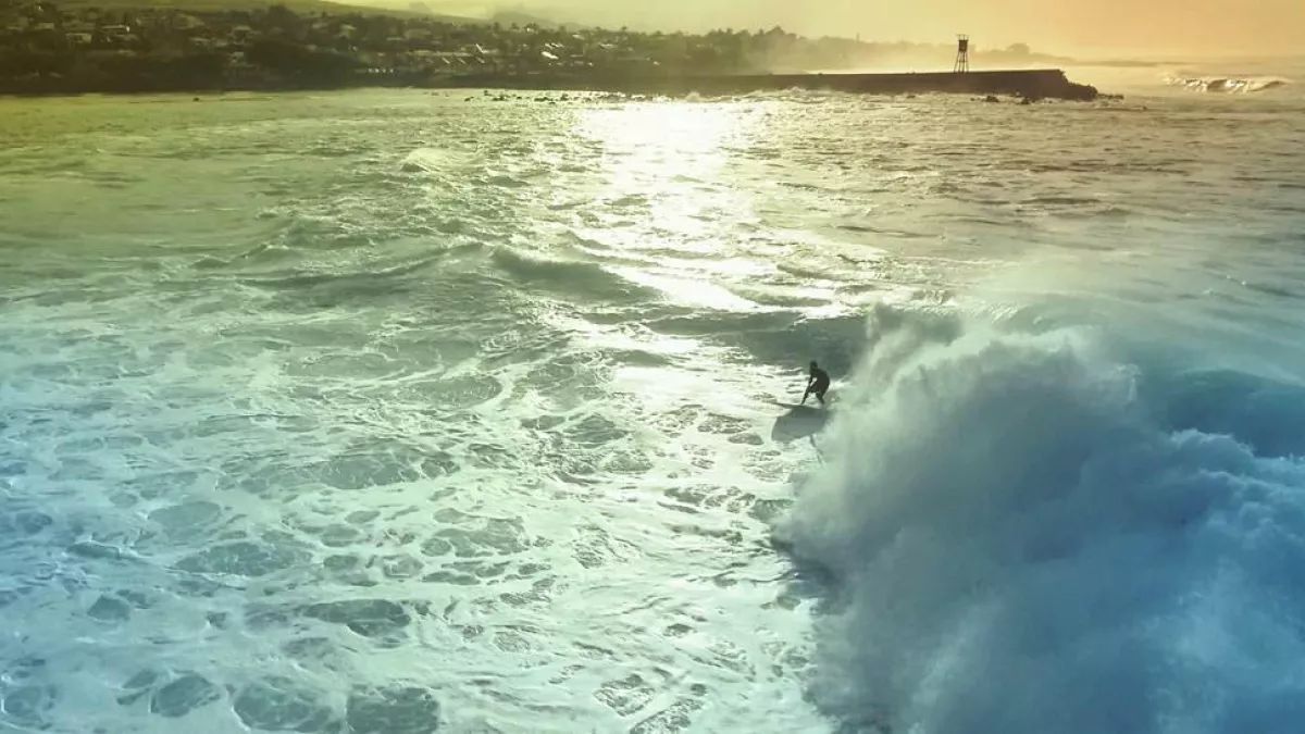© Bis Repetita SURF QUI PEUT !