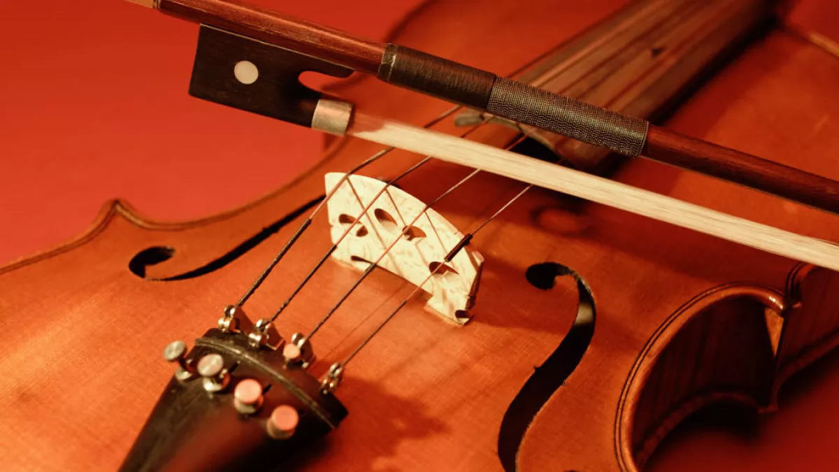 violon