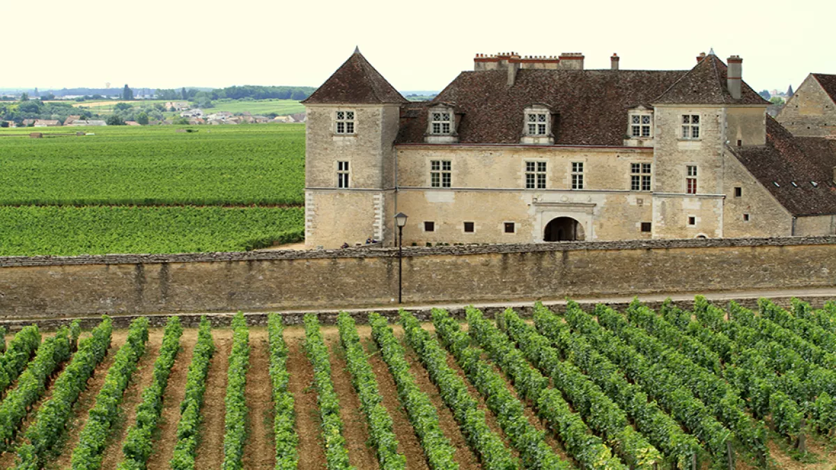 Château du Clos de Vougeot Château du Clos de Vougeot