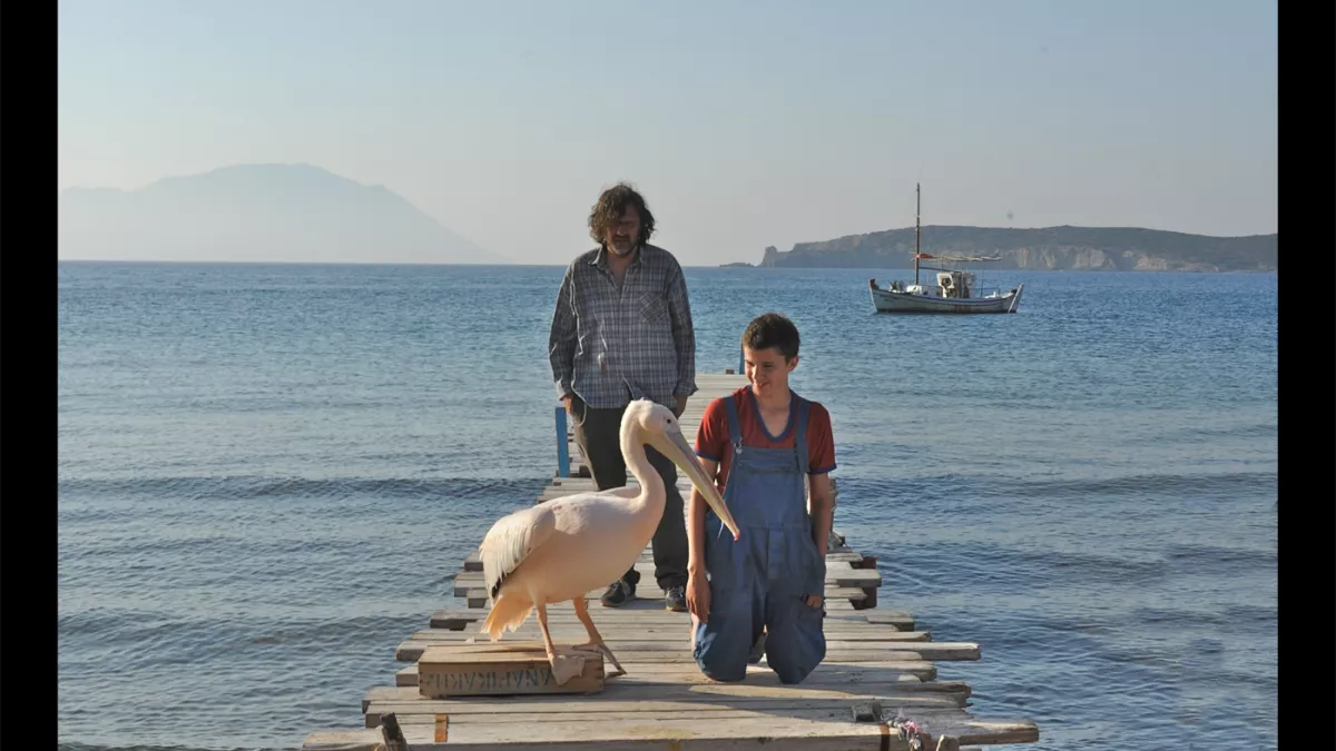 © Laurent Thurin Nal Nicostratos le pelican