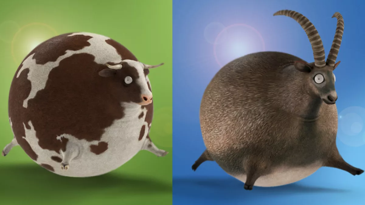Animaux habillage Animaux habillage