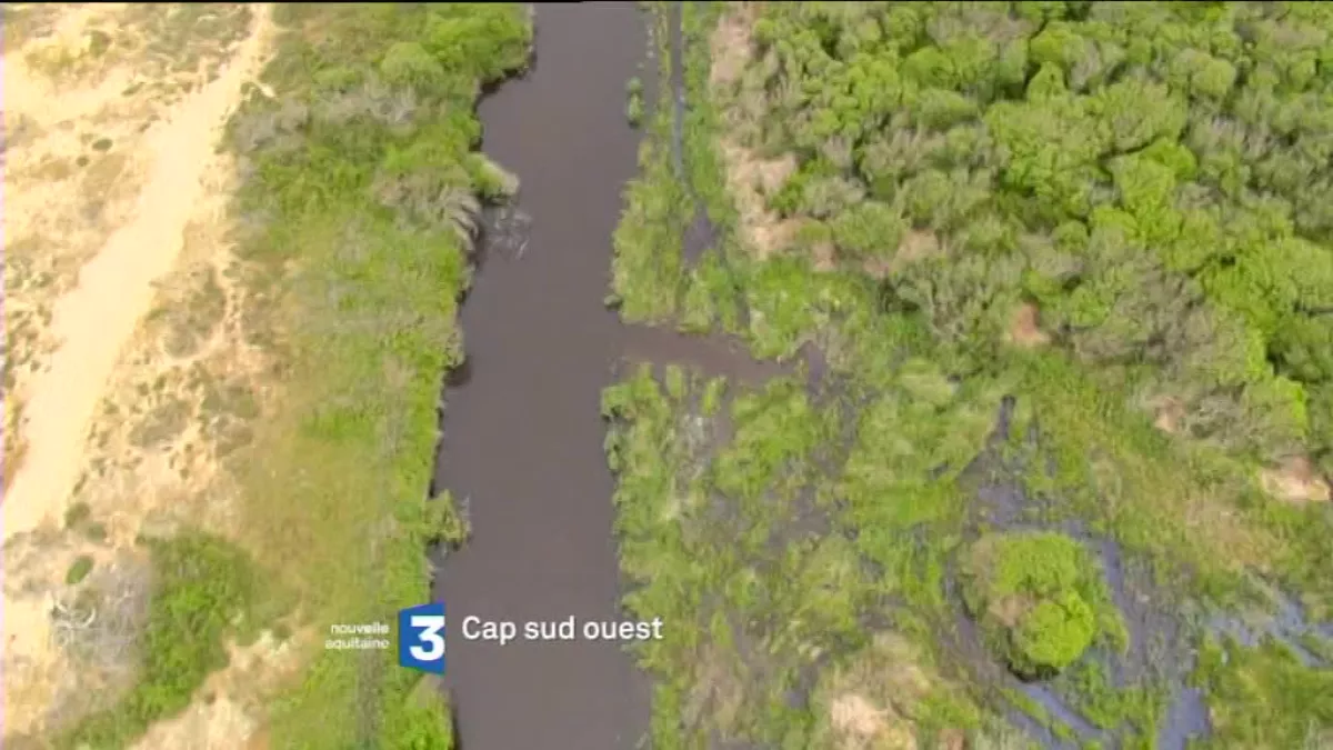 Cap Sud Ouest Landes