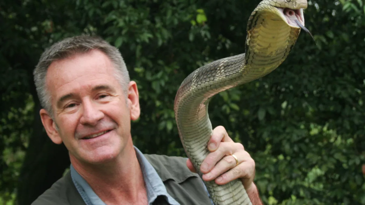 Les 10 serpents les plus dangereux Les 10 serpents les plus dangereux
