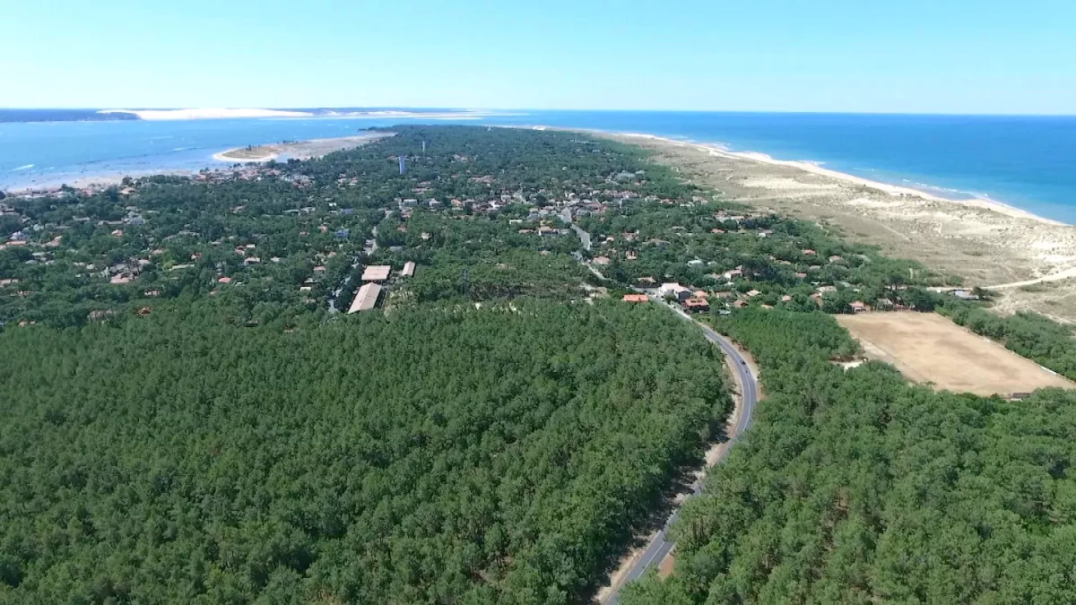Cap Ferret