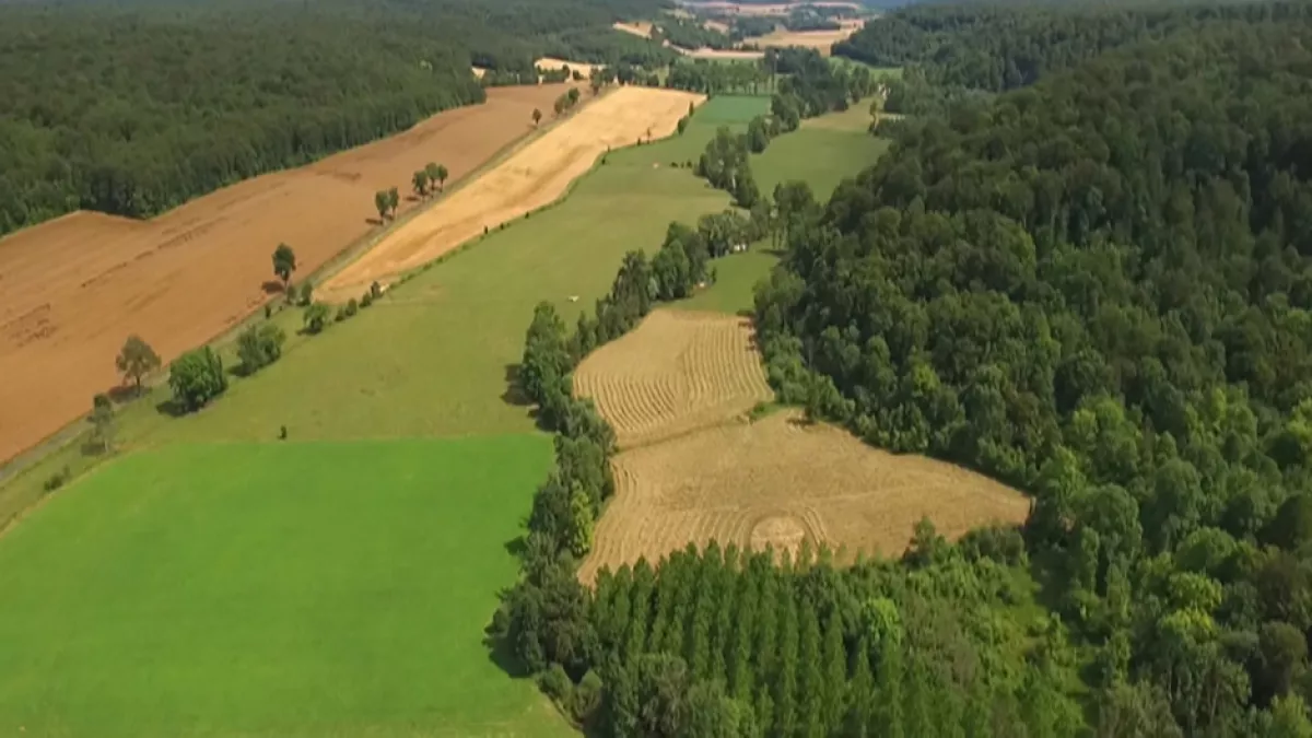 Bataille pour un parc Bataille pour un parc
