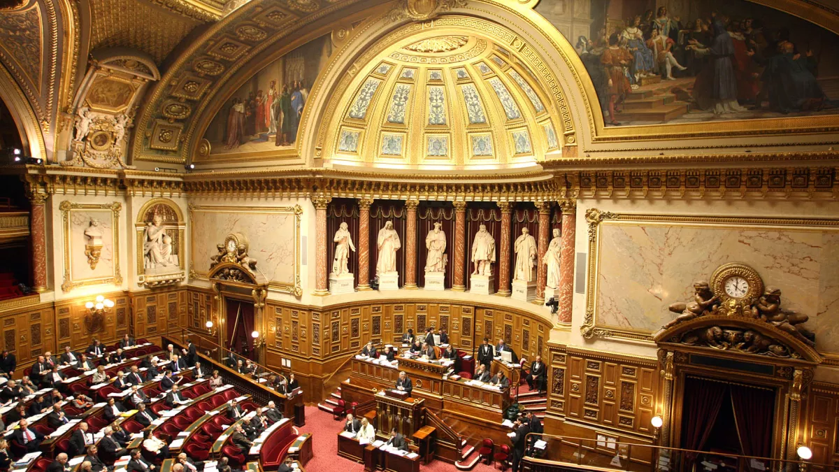 senat senat