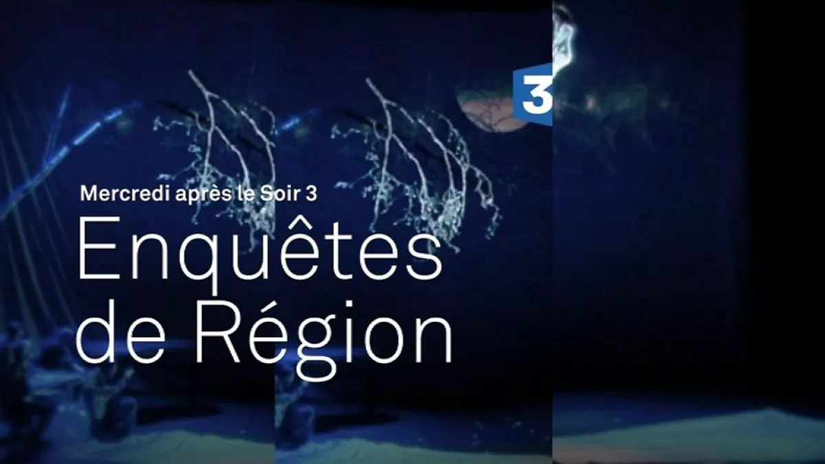 Enquêtes de région Enquêtes de région