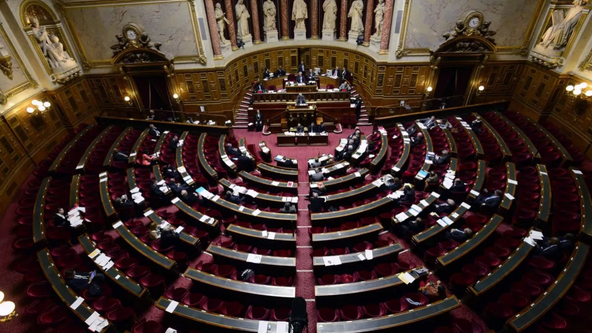 senat senat