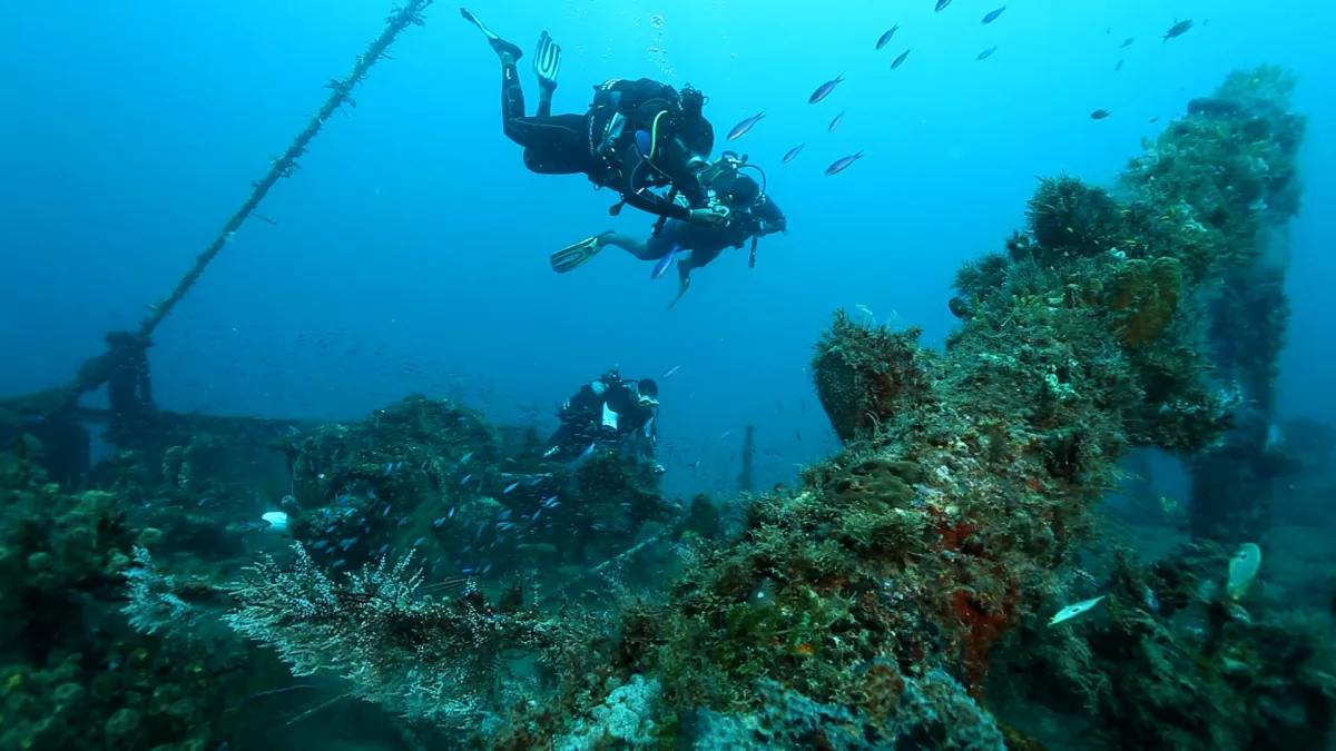 Martinique, à la recherche des trésors de la mer Martinique, à la recherche des trésors de la mer