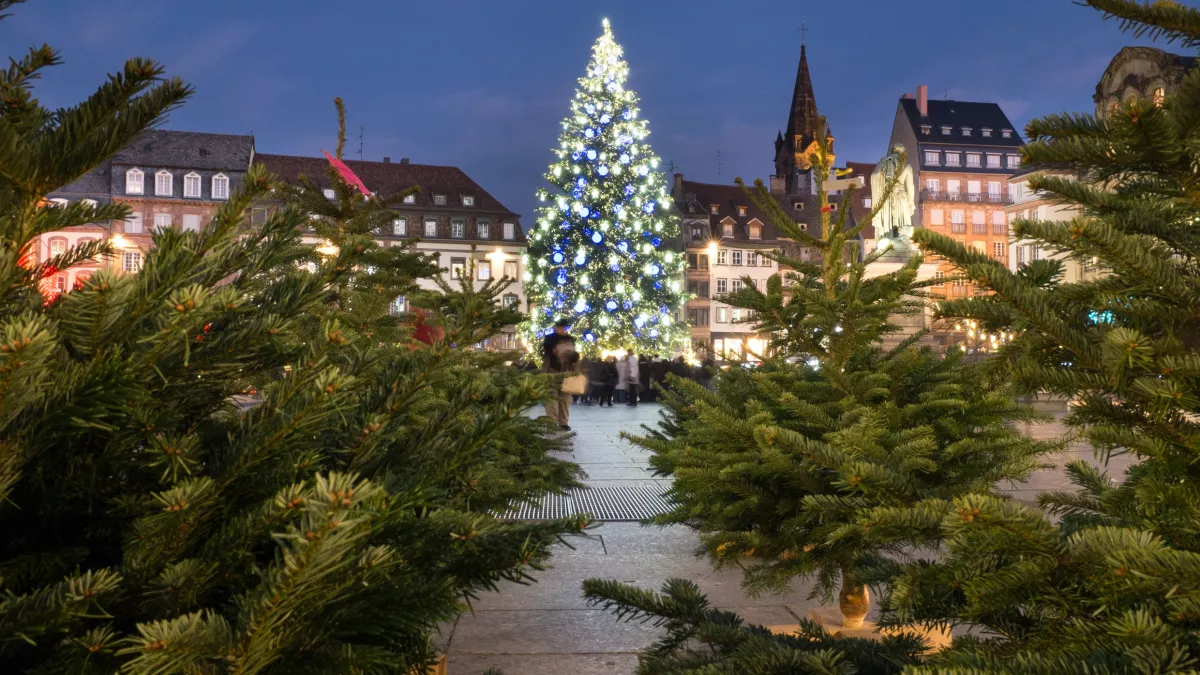 Strasbourg