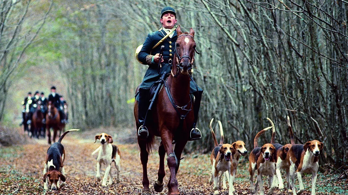 chasse chasse