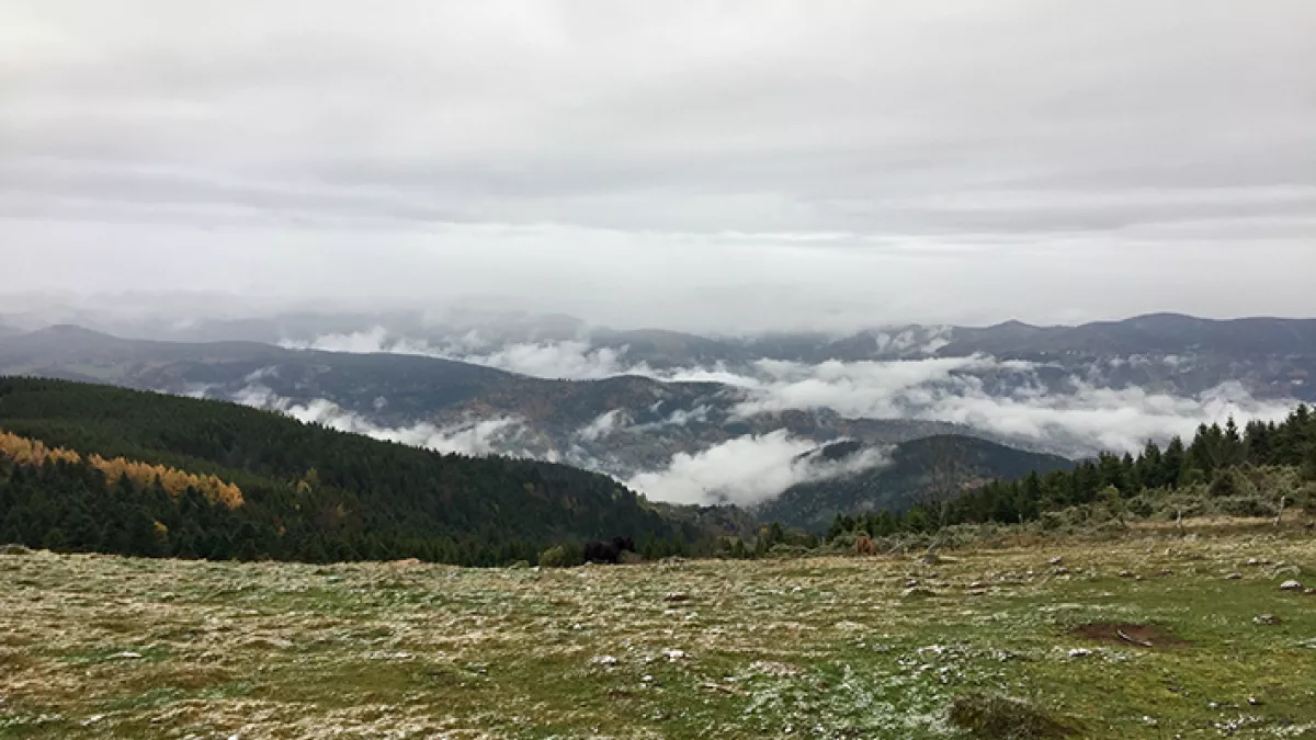 PCPL Hautes-Vosges