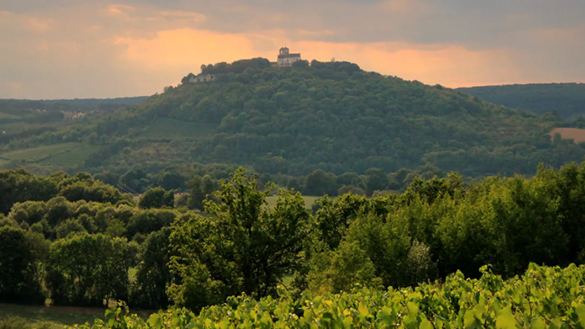 Colline de Vézelay