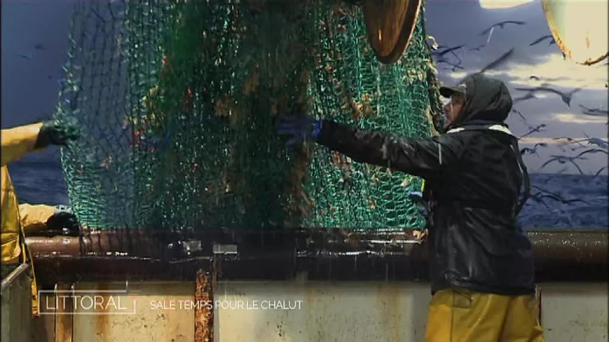 Chalutier en pêche Chalutier en pêche