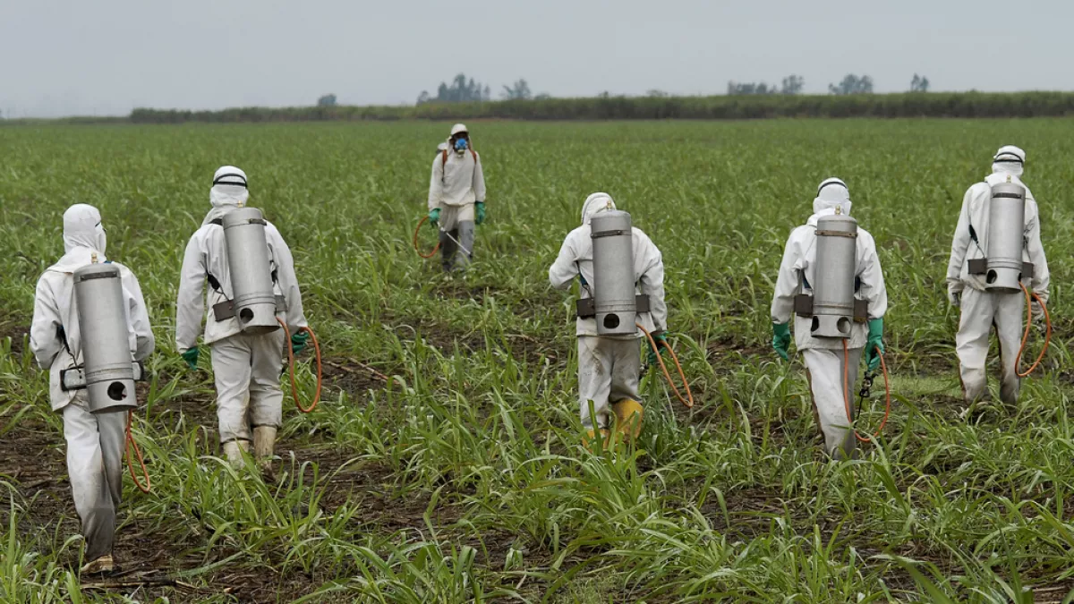 Glyphosate