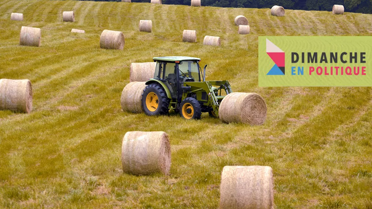 ©Pixabay Agriculture