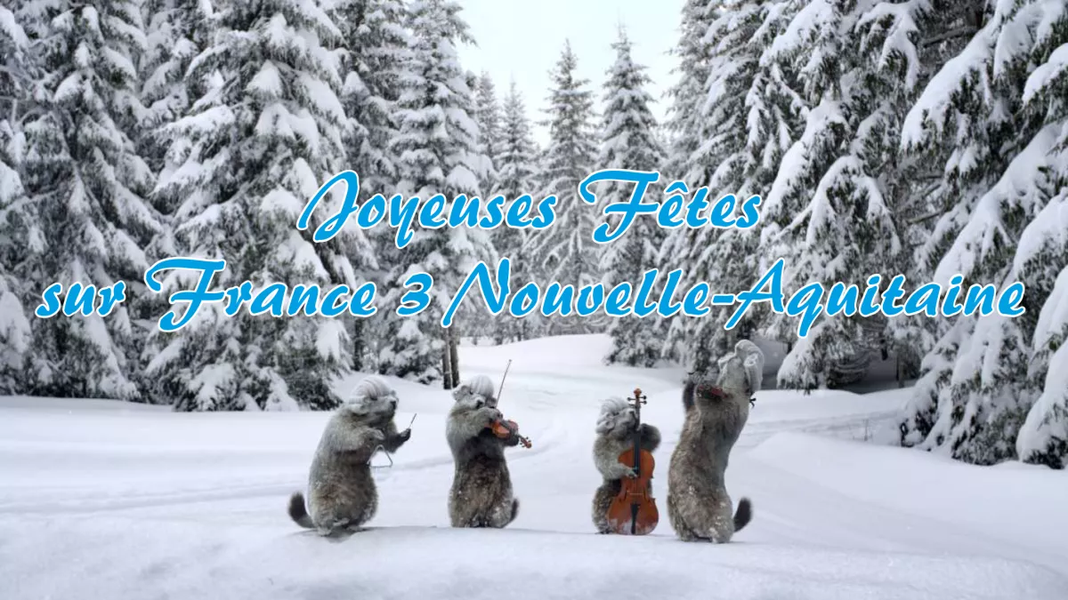 Joyeuses Fêtes