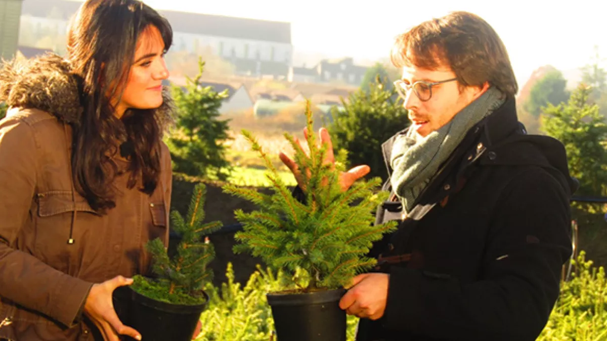 Gaëlle Grandon Noël en Bourgogne