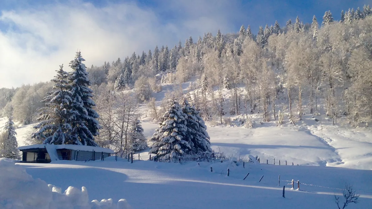 ©Hanami Paysage de neige