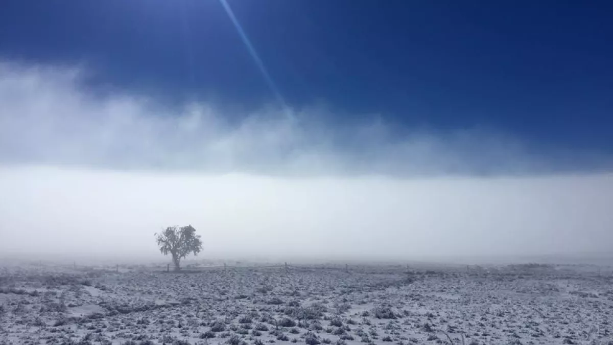 Au coeur de l'hiver Au coeur de l'hiver