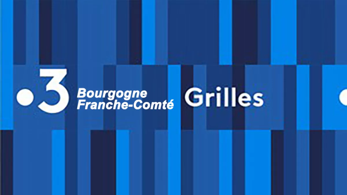 Grilles des programmes