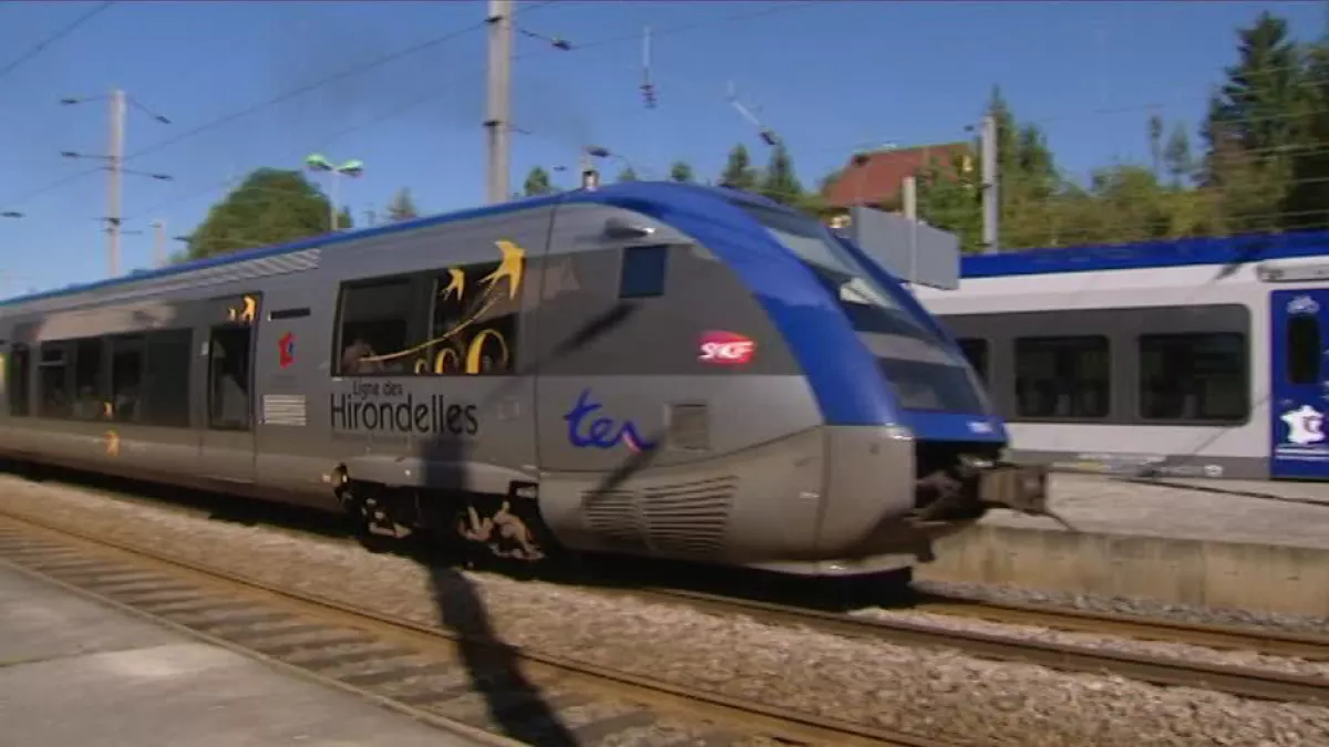 Train TRAIN
