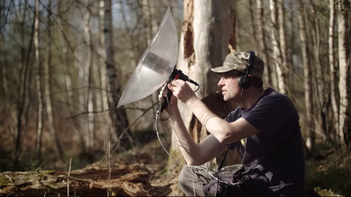 Chasseur de son