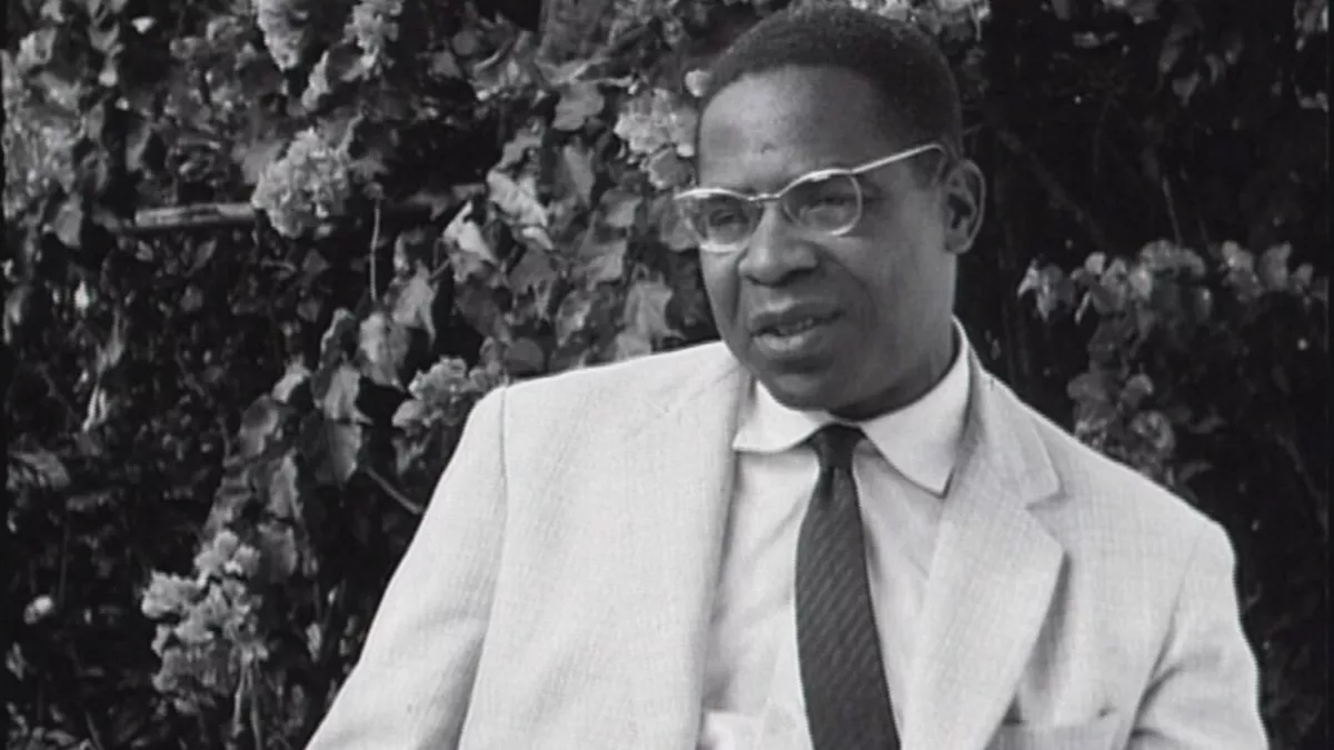 © Beau comme une image 2013 : L'ANNEE CESAIRE