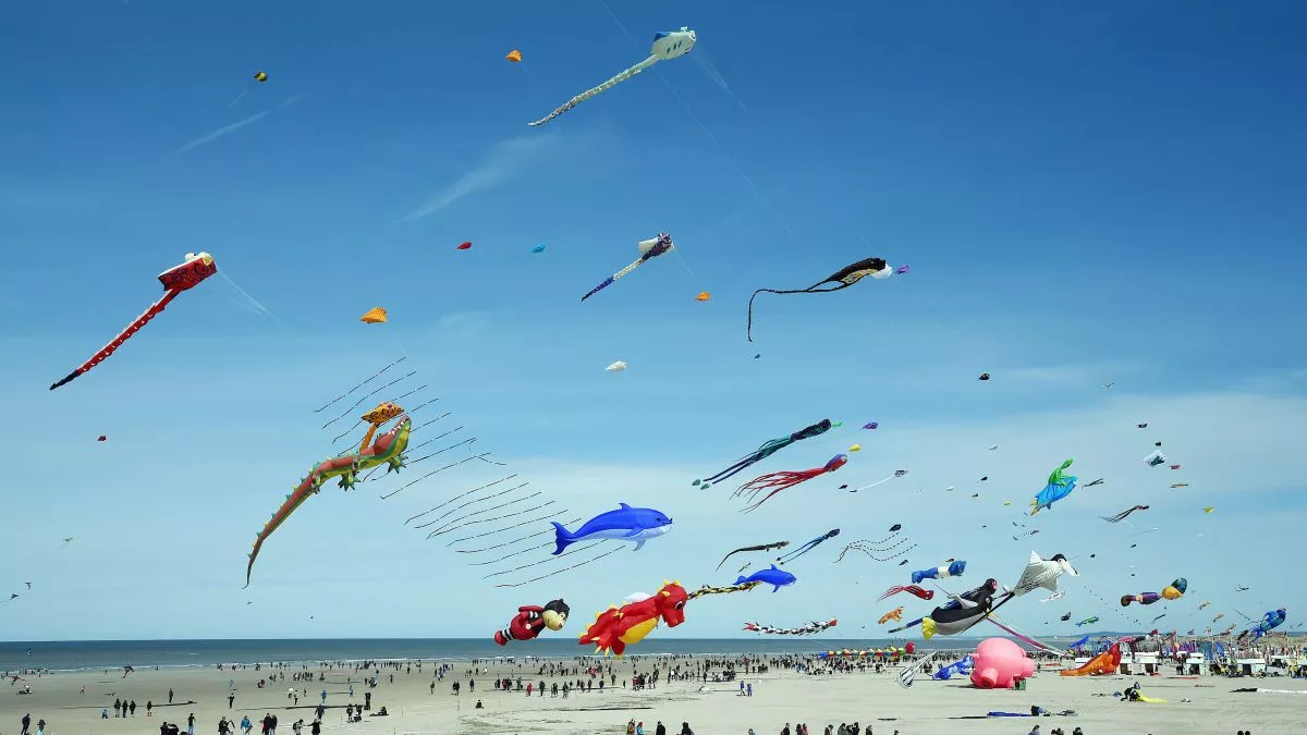 Berck Cerfs-volants