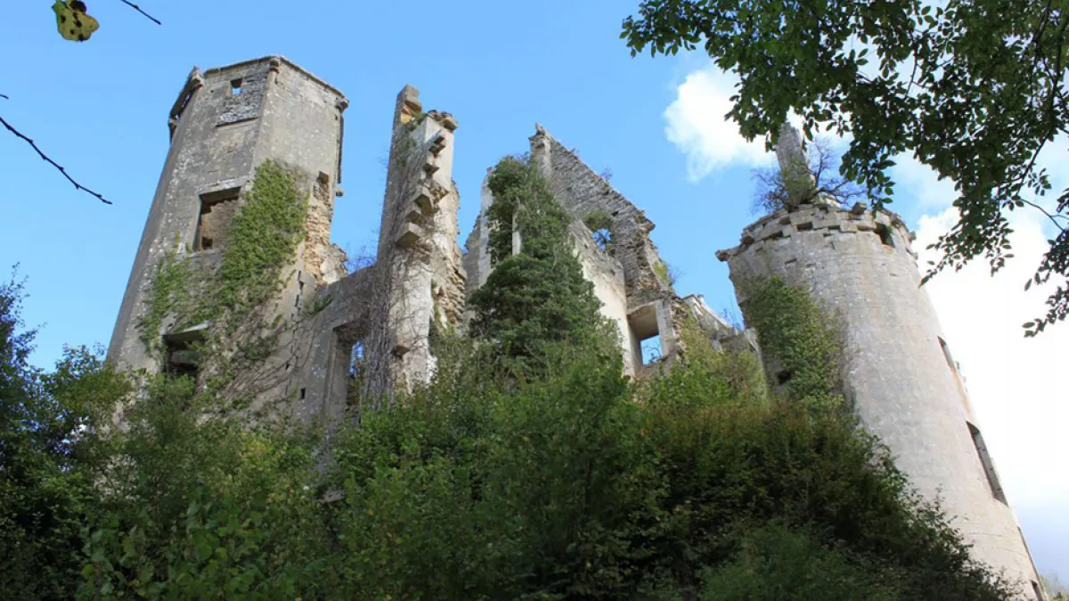Château de Rochefort / © Christophe.Finot / Licence CC by Wikipedia patrimoine