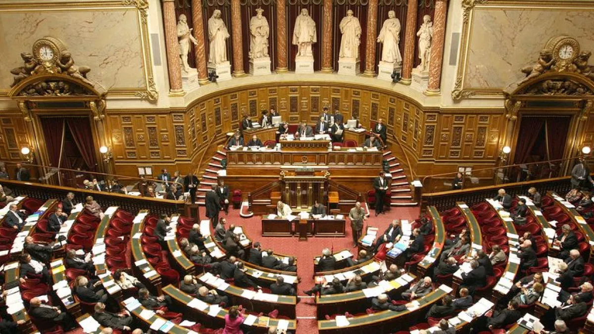 SENAT SENAT
