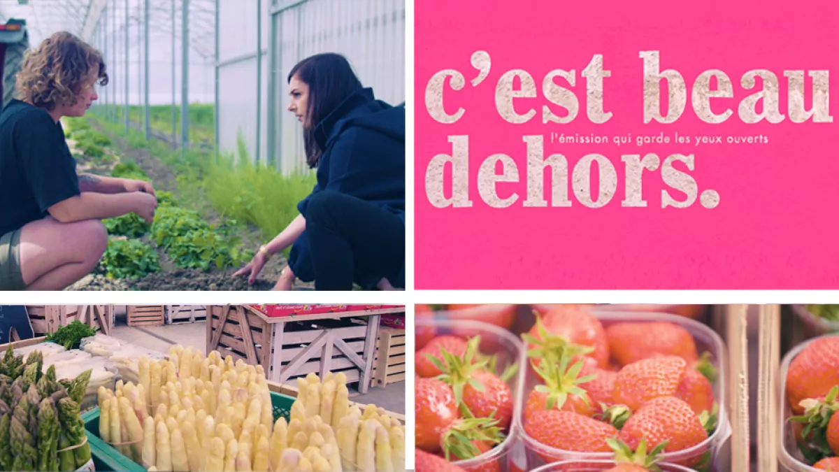 C'est beau dehors - Îlot de la Meinau