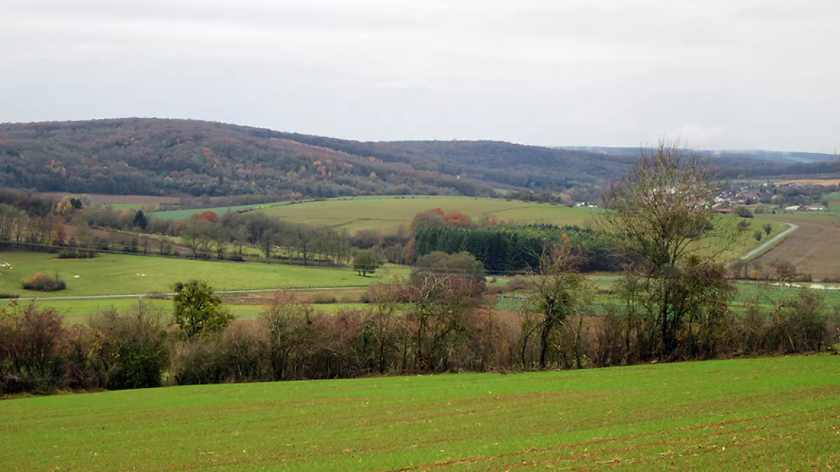 Paysage Haute-Saône Paysage Haute-Saône