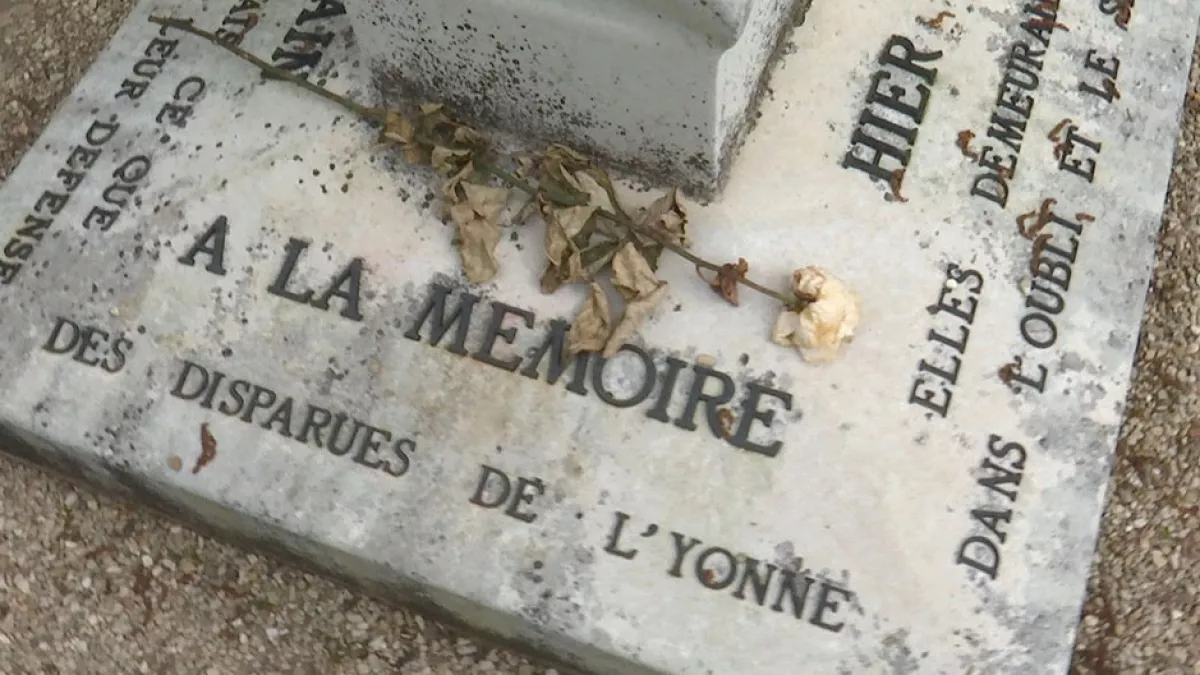 Stelle les disparues de l'Yonne Stelle