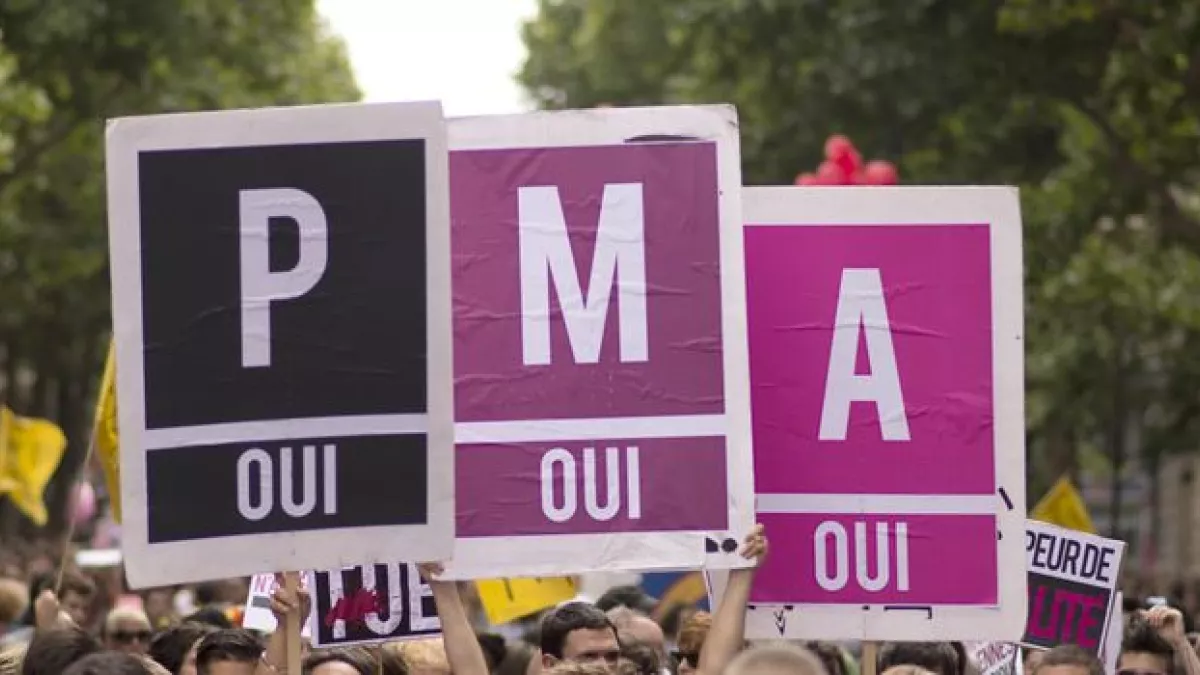 PMA PMA